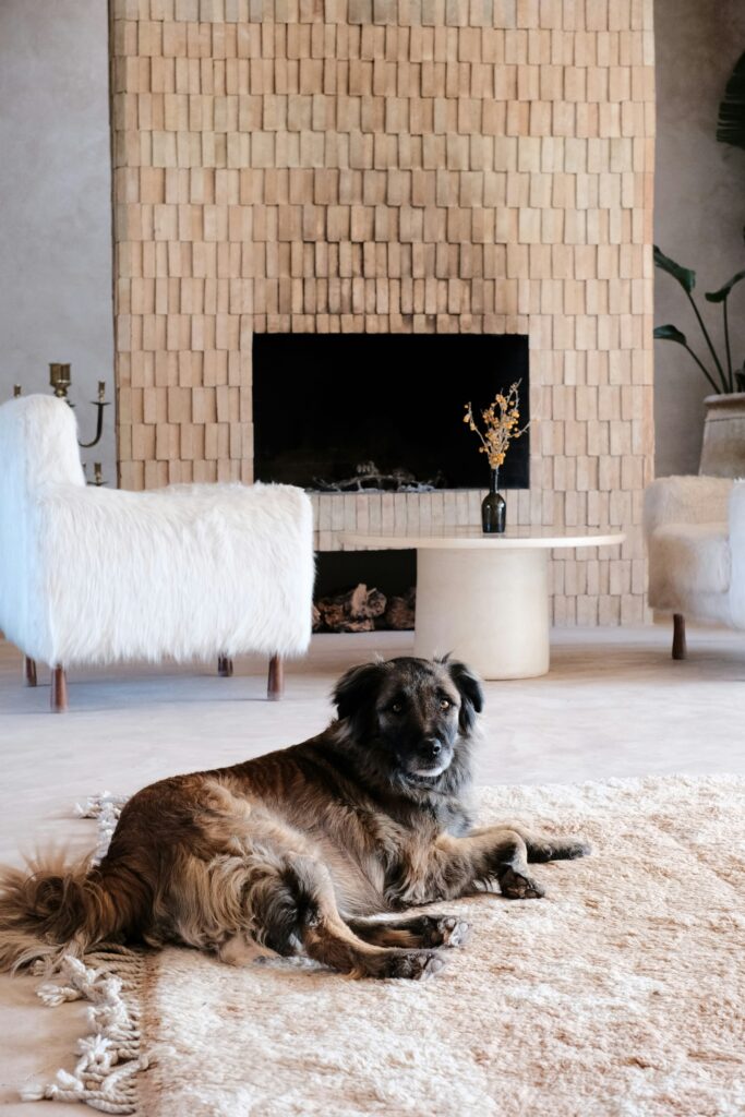 chimenea con azulejos mosaico